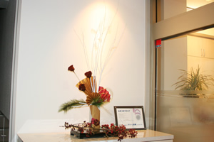 ������G���g�����X�̉�