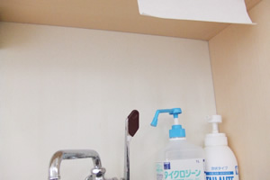 �y�[�p�[�^�I���̎g�p�@�@������